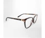 Grife Vizzano Acetato Marrom